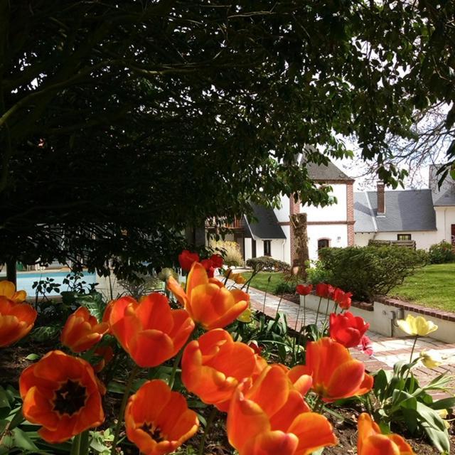Ferienhaus Le Bien L'authie Colline-Beaumont
